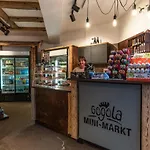 酒店 霍奇福根贝格酒店 4*