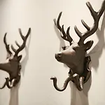 霍奇福根贝格酒店 4* 霍弗根